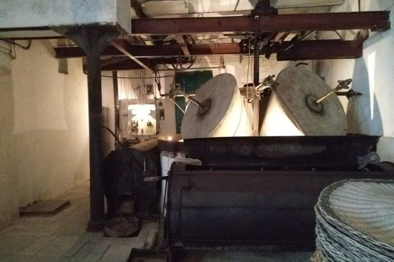 Molino